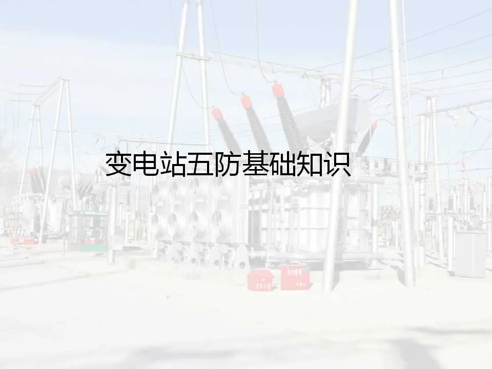 z6.com·(中国区)官方网站