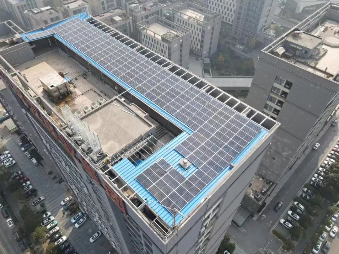 z6.com·(中国区)官方网站