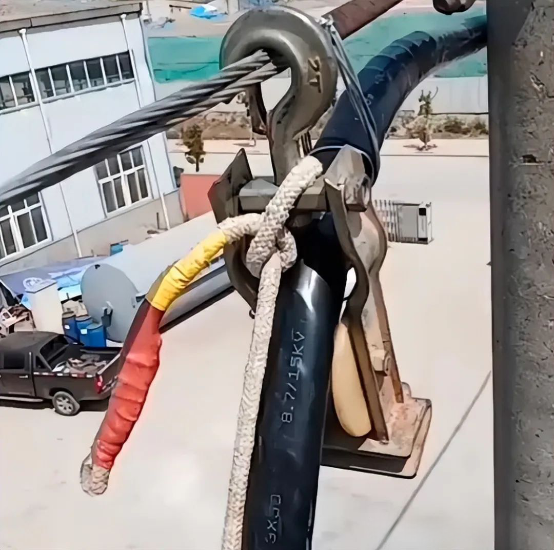 z6.com·(中国区)官方网站