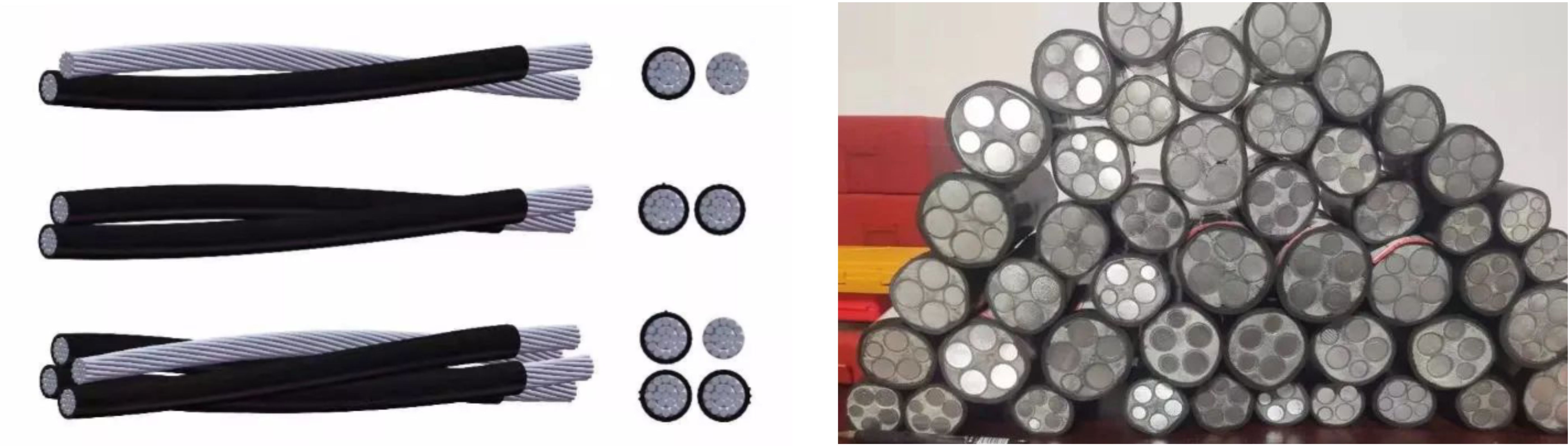 z6.com·(中国区)官方网站